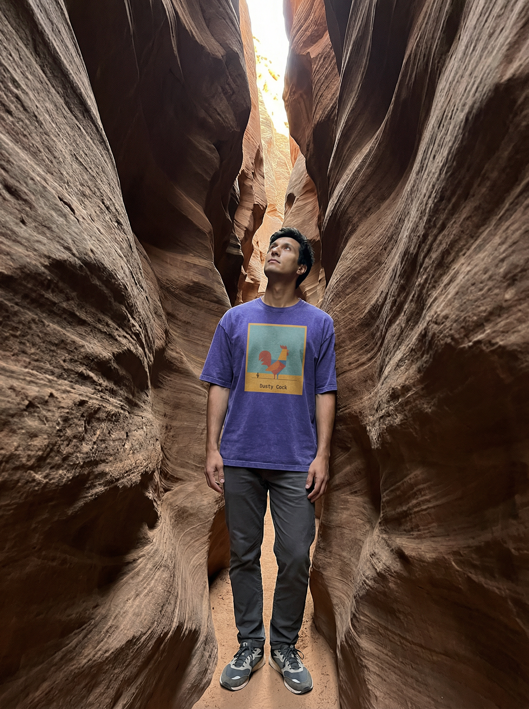 Desert Rooster Outlaw Graphic Tee – Heavyweight 100% Cotton, Vintage Wash