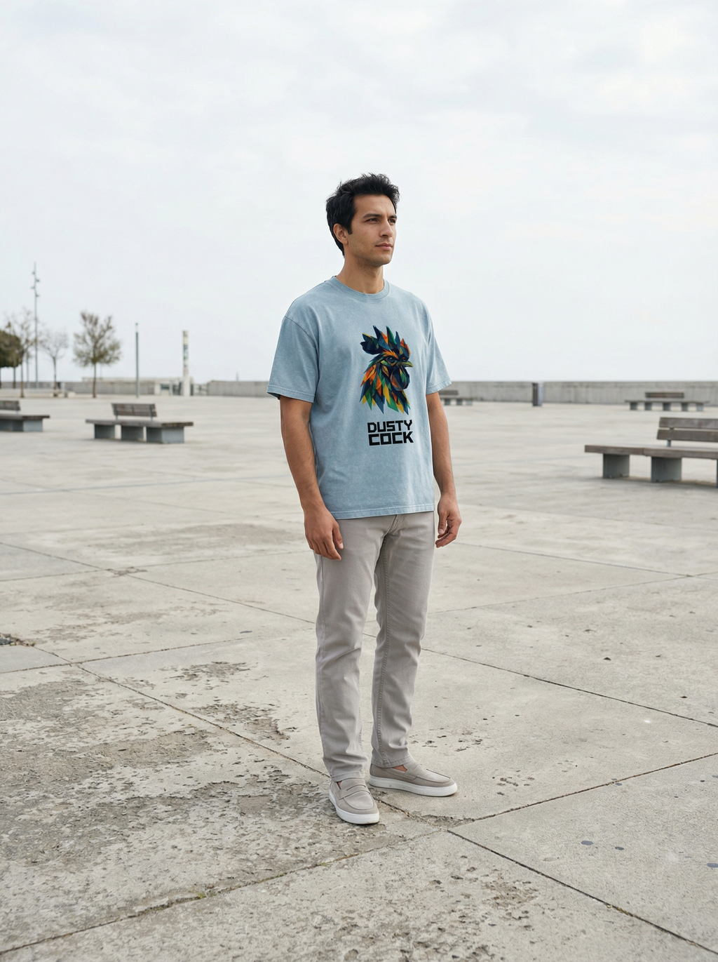 Dusty Cock “Prismatic Rooster” Geometric Head Graphic Tee – Heavyweight 100% Cotton, Vintage Wash, Washed